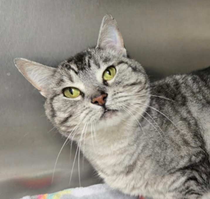 Photo of Alley