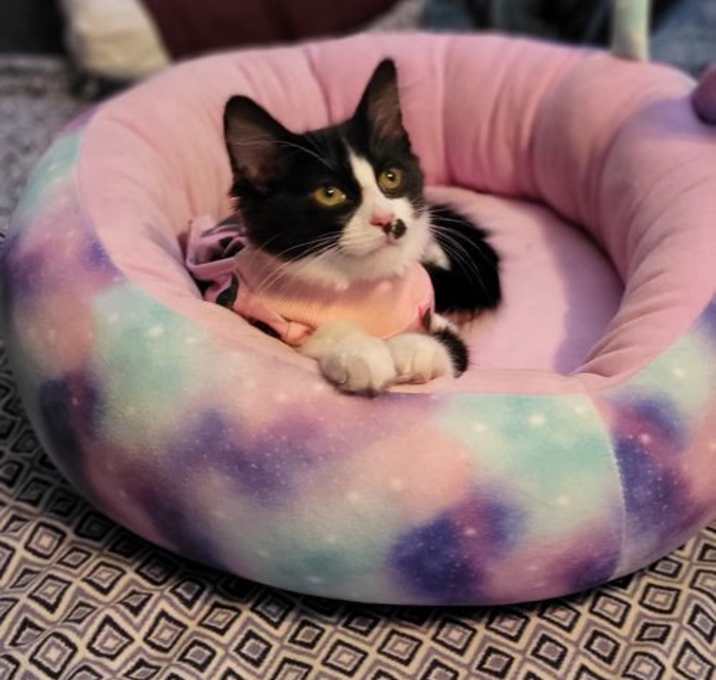 Photo of ANGEL
