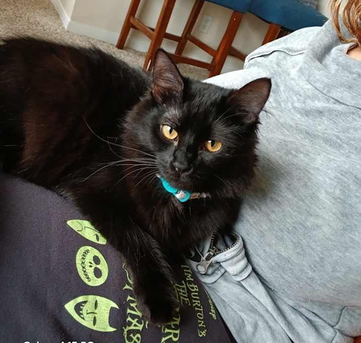 Photo of Minou