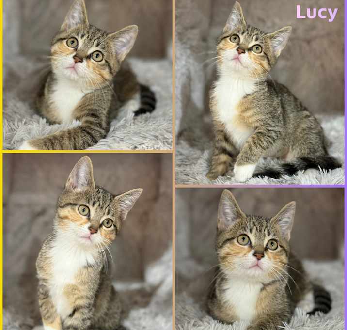 Photo of Lucy