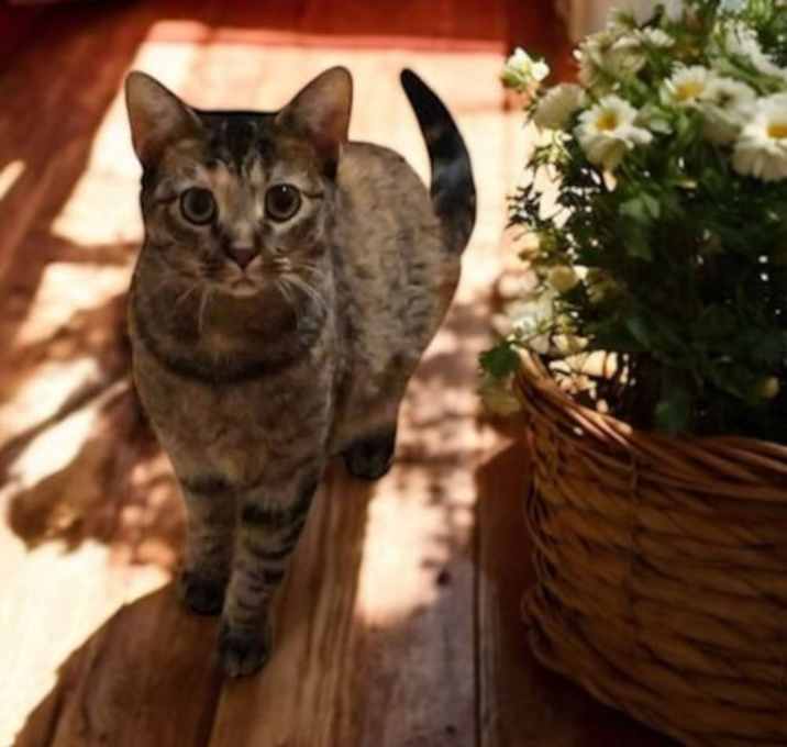 Photo of Pamela