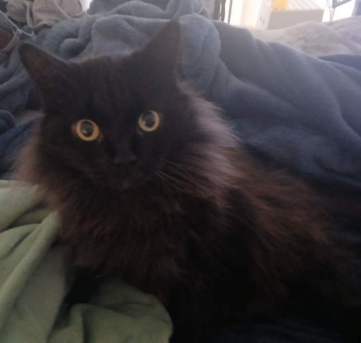 Photo of Minu