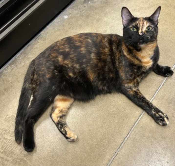 Photo of Eve