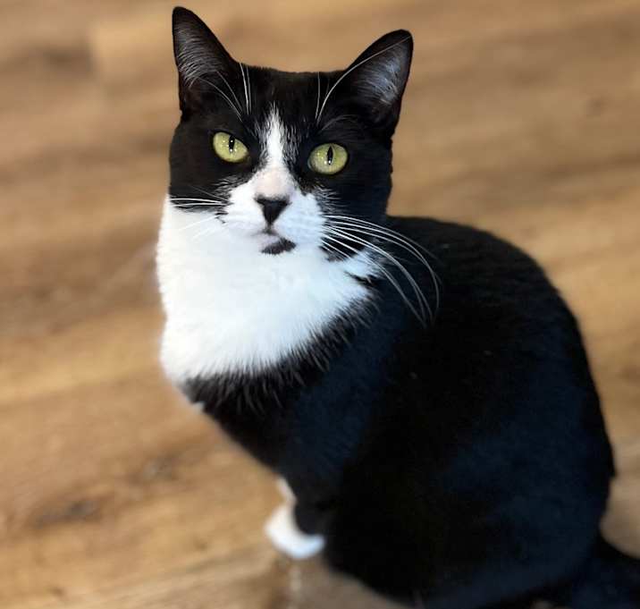 Photo of Georgia