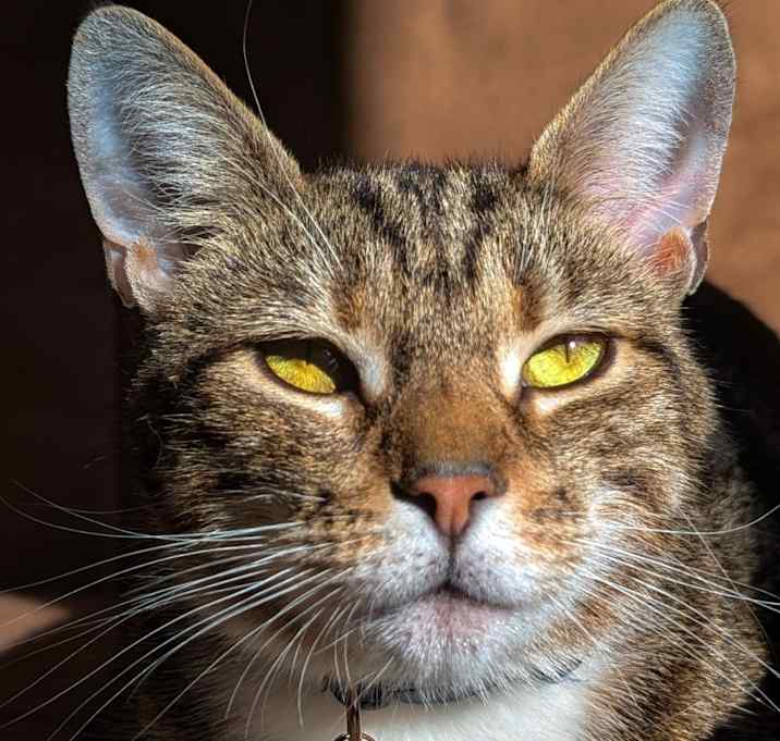 Photo of Lucy