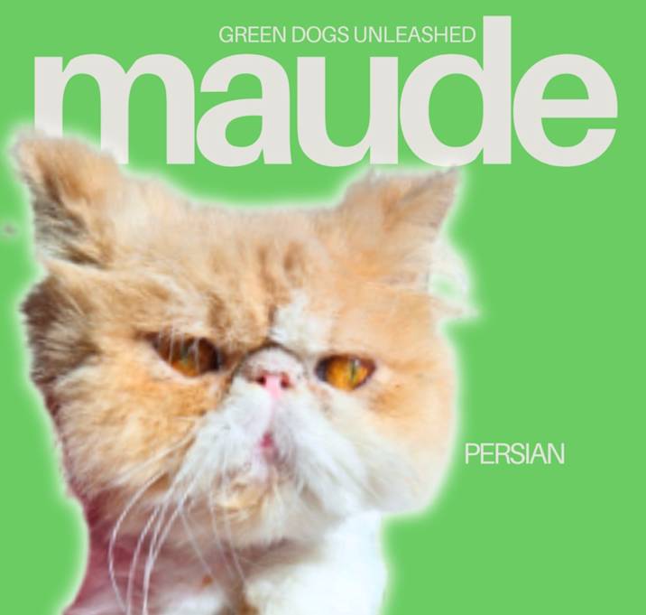 Photo of Maude