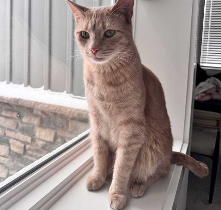 Photo of Sultan