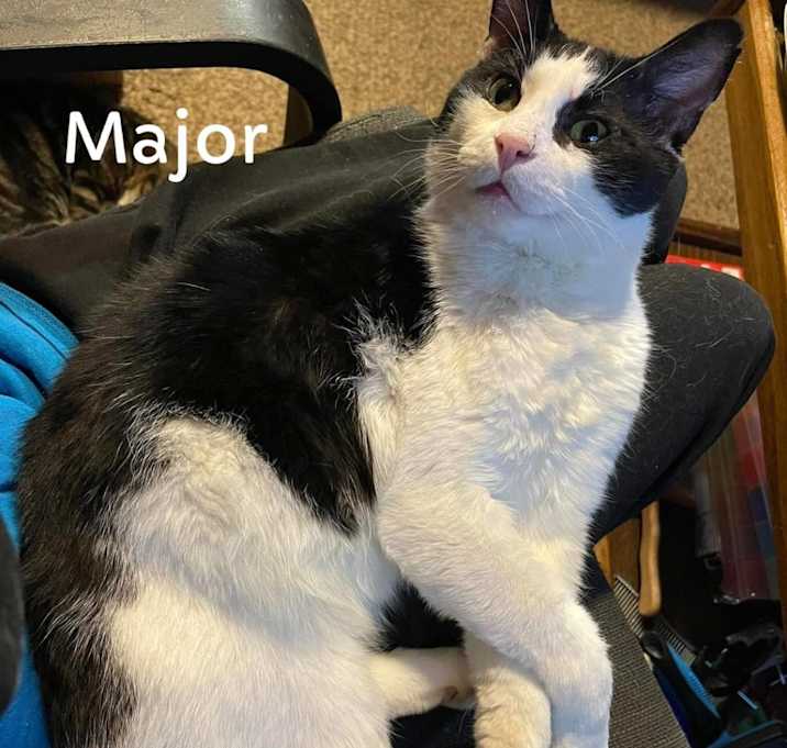 Photo of Major