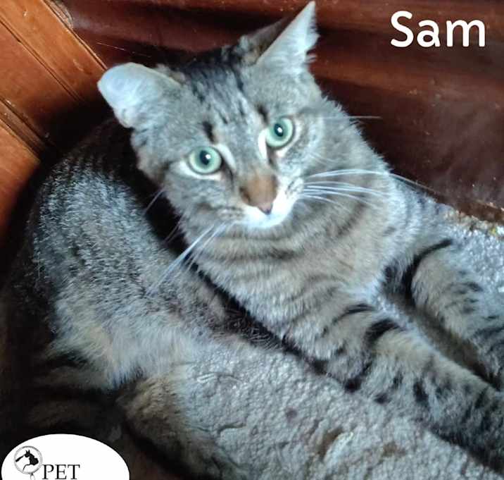 Photo of Sam