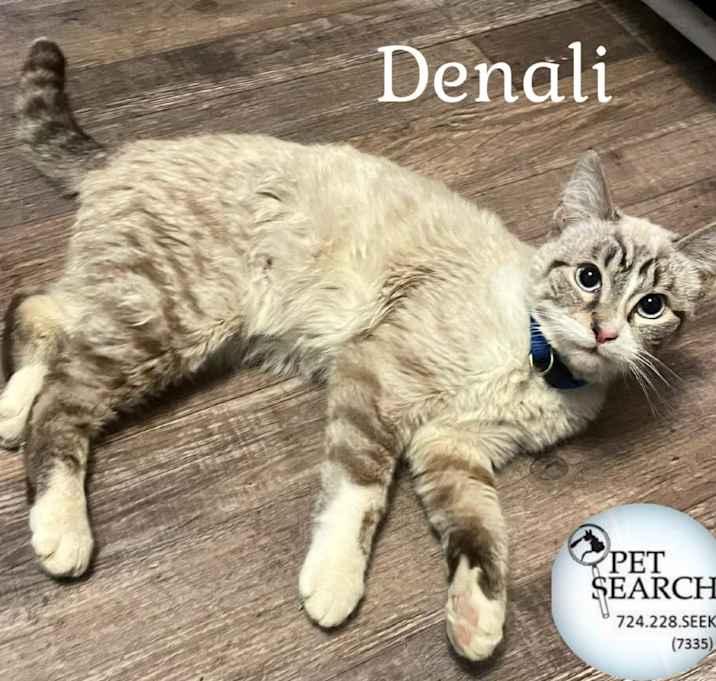 Photo of Denali