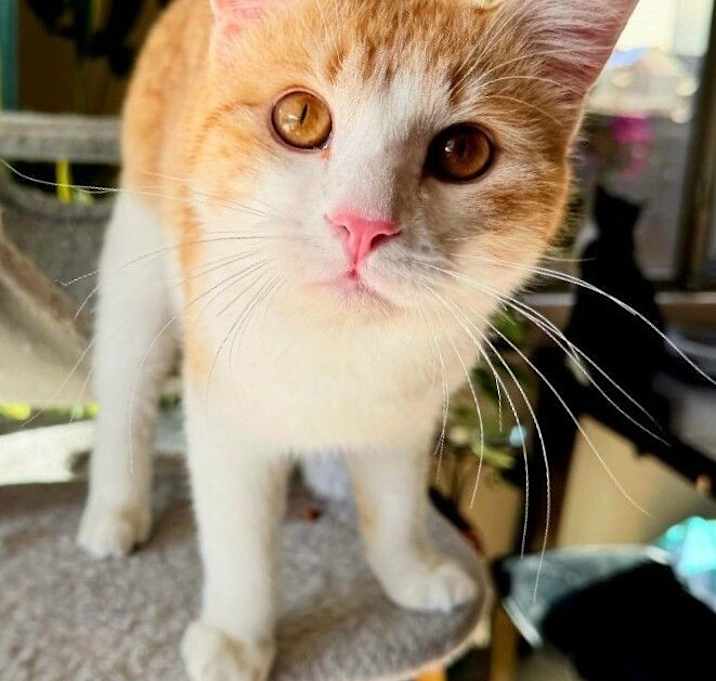Photo of Brewsky