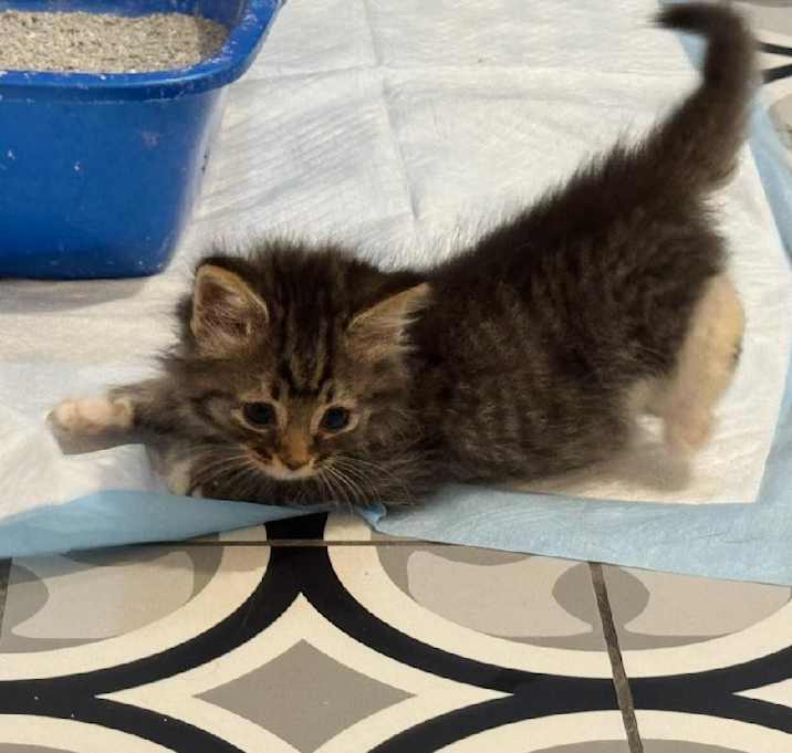 Photo of Luna
