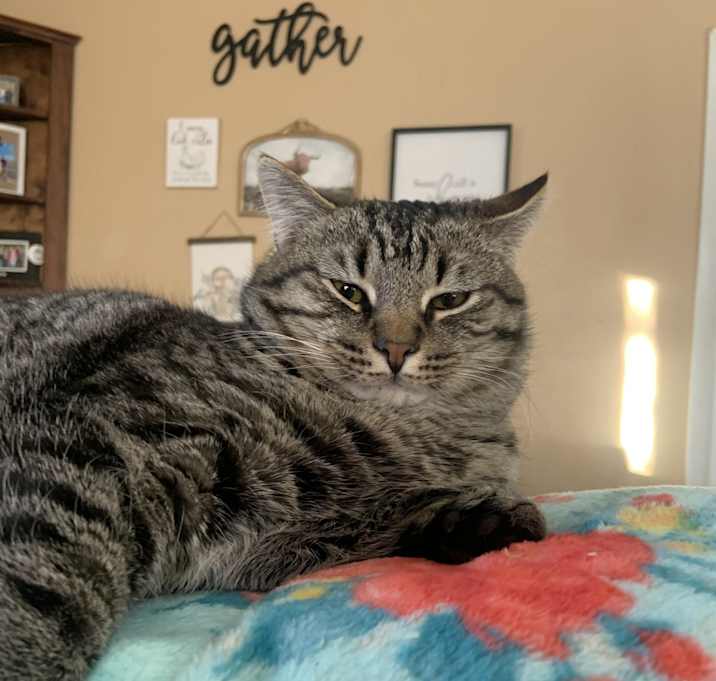 Photo of Big Boy
