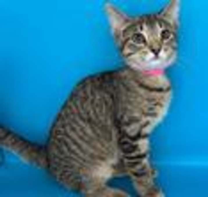 Photo of Moira