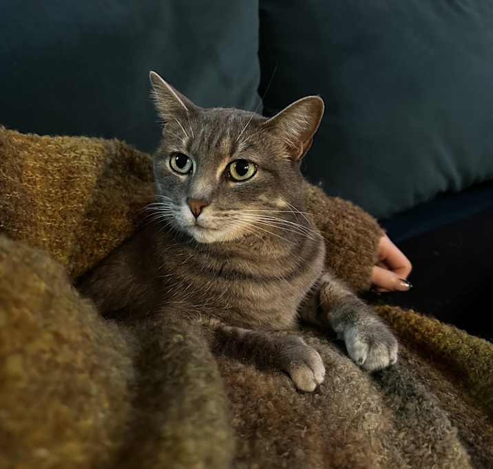 Photo of Nova