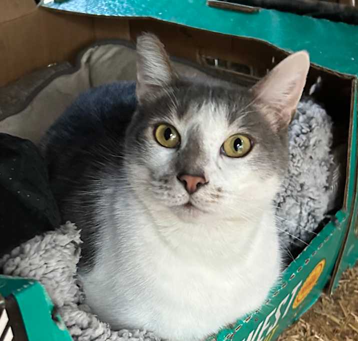 Photo of Grady