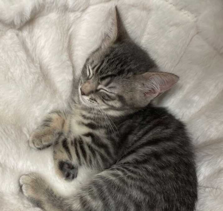 Photo of CeCe