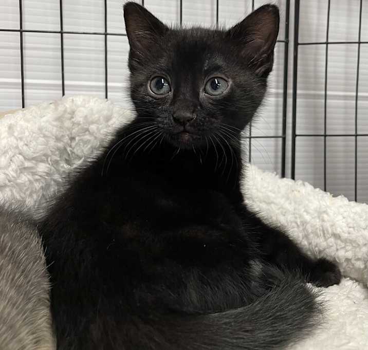 Photo of Sprout