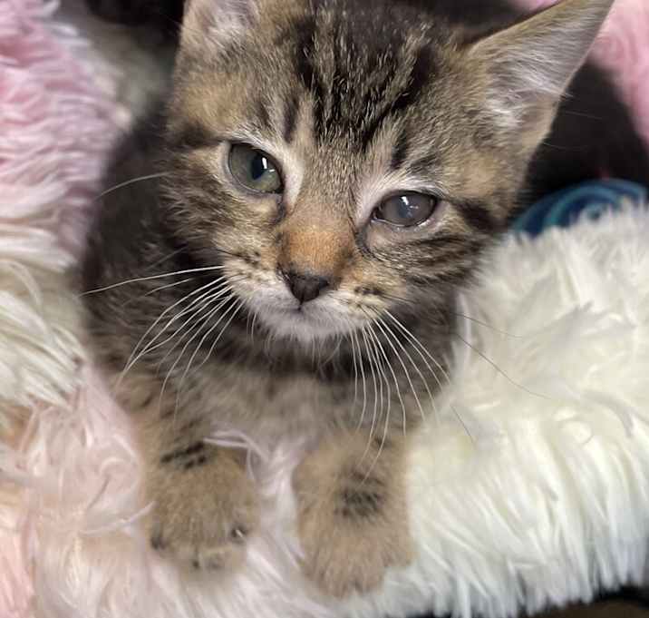 Photo of Squirt