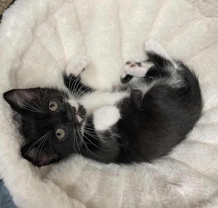 Photo of Ivy