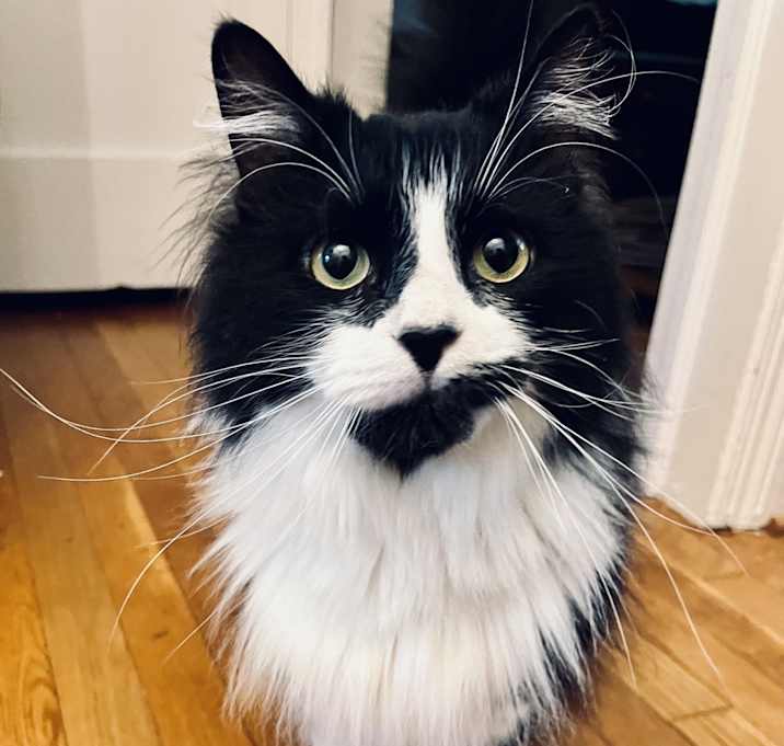 Photo of Beatrix