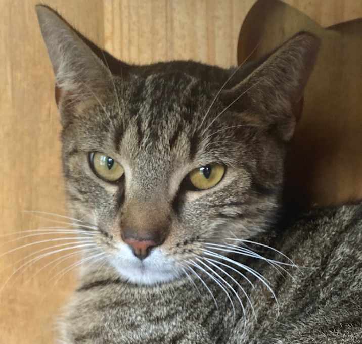 Photo of Ignacio