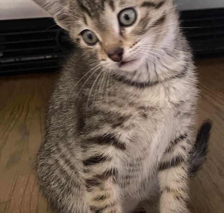 Photo of Shelly