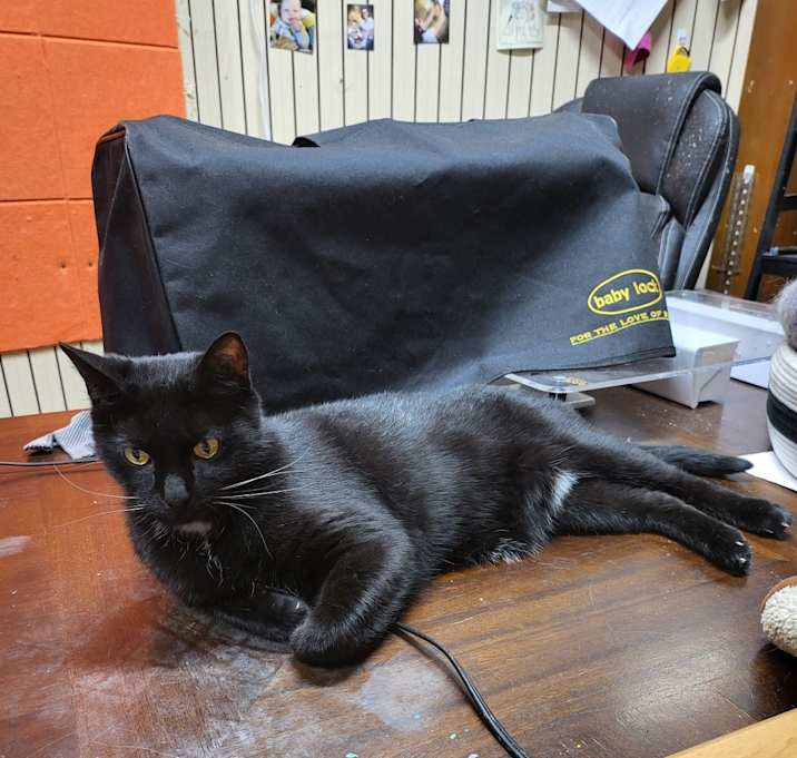 Photo of Dot