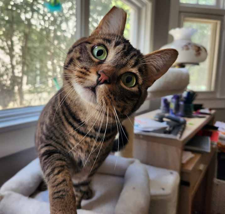 Photo of Spark