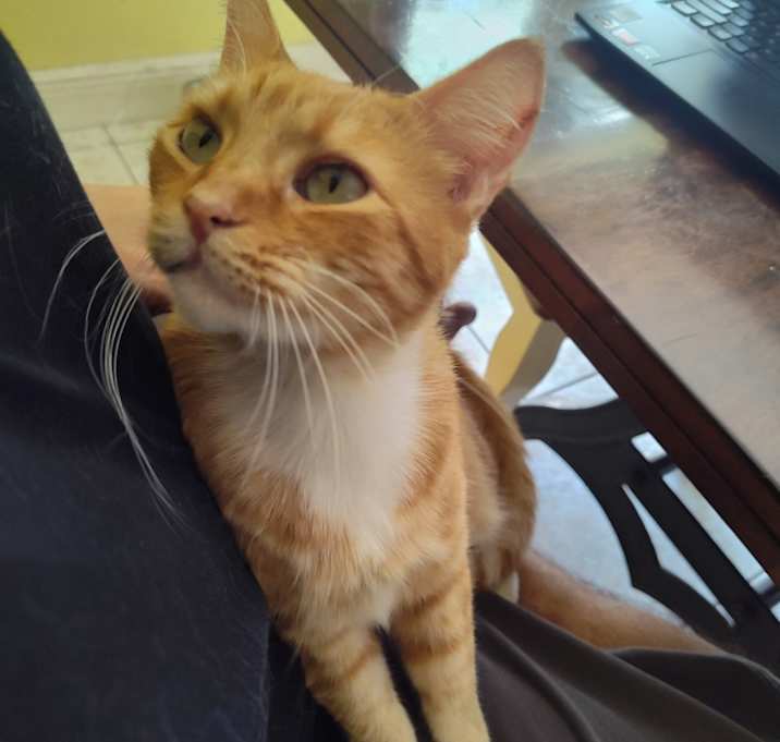 Photo of Crooked