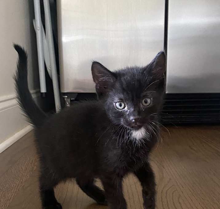 Photo of Tuck