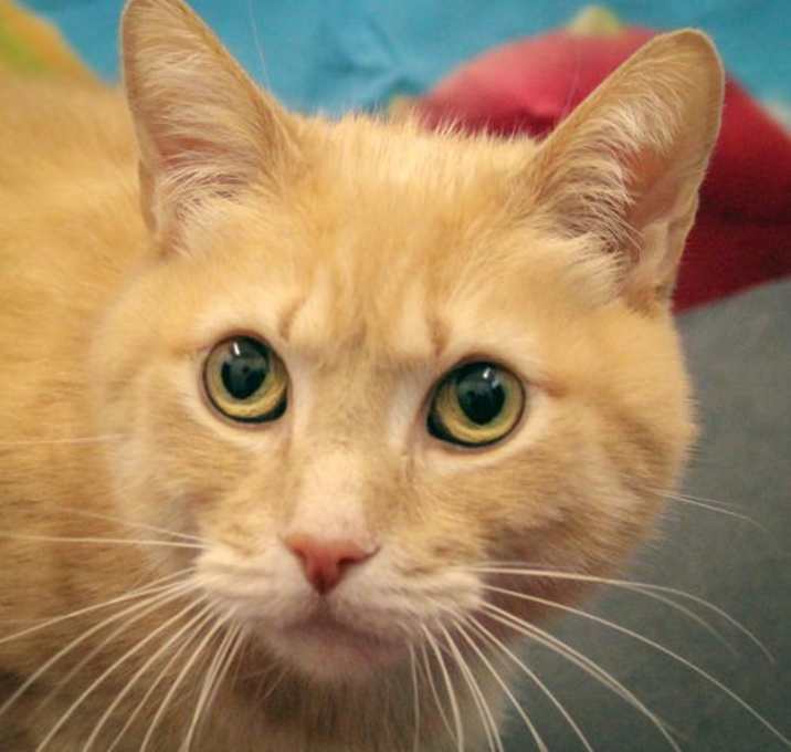 Photo of Huey