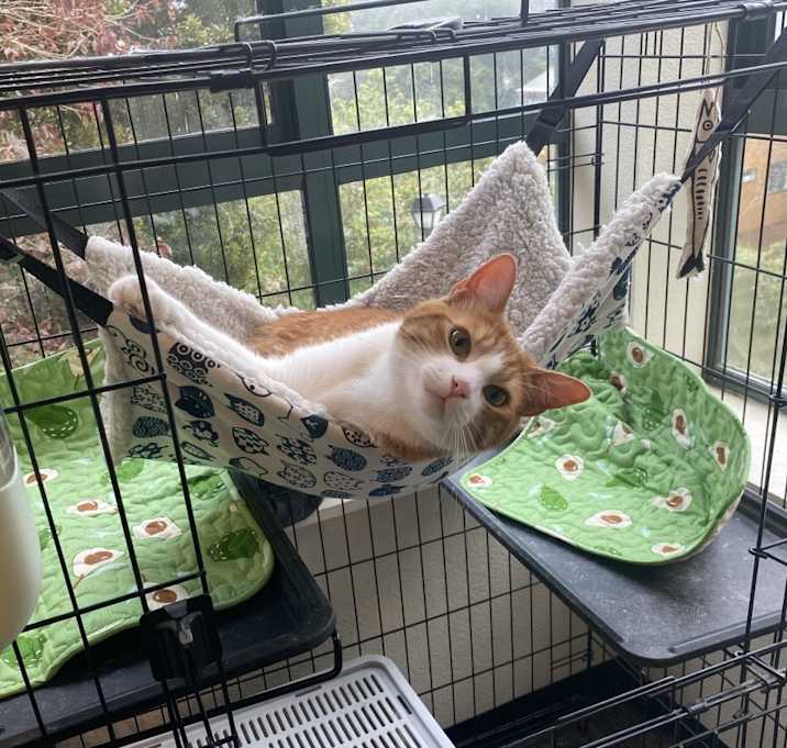 Photo of Jerry