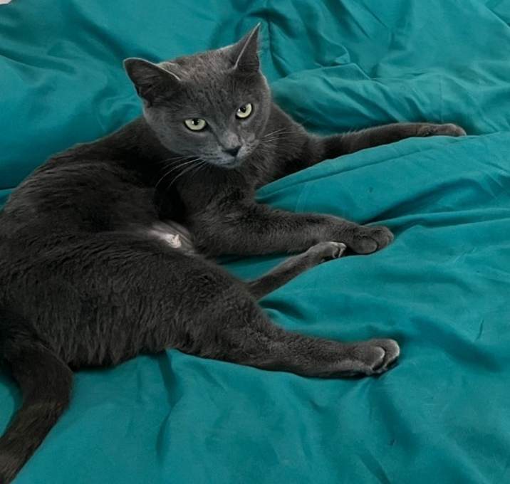 Photo of Luna