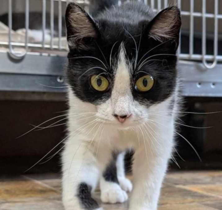 Photo of Perdita