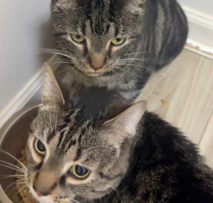 Photo of Pablo & Griselda