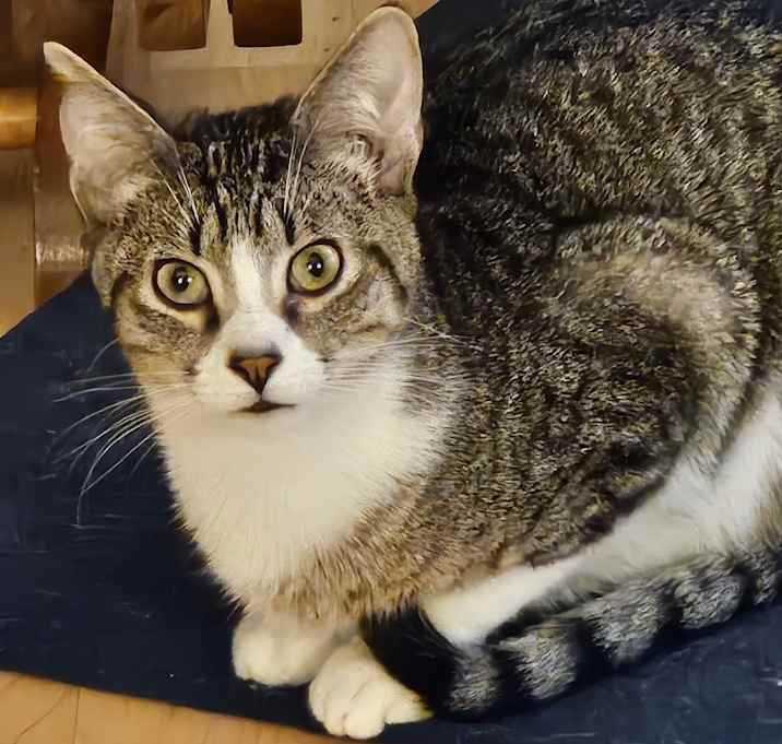Photo of Elliott
