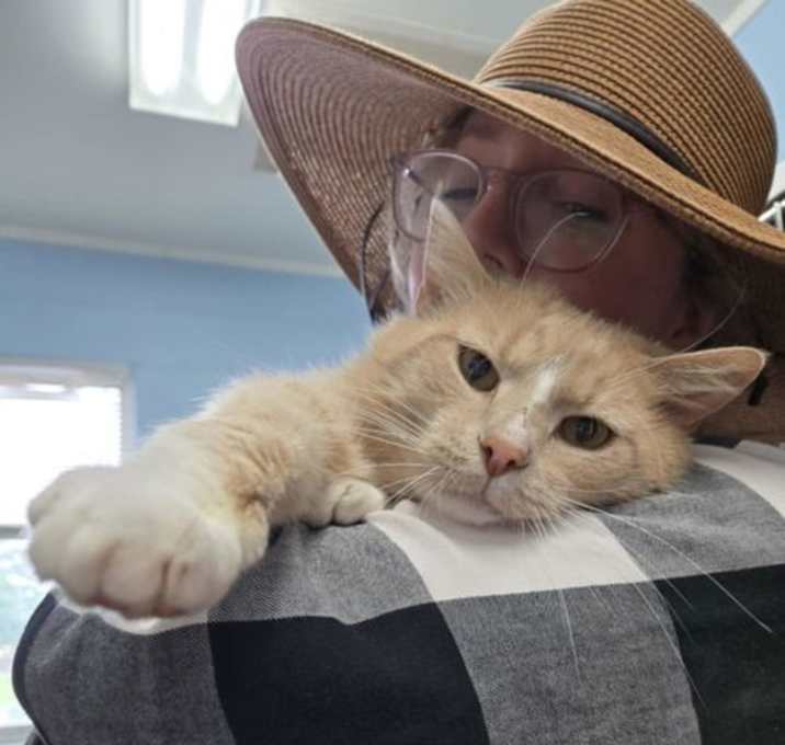 Photo of Catsby: At shelter