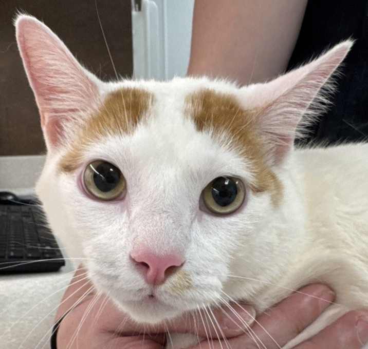 Photo of Chuckie