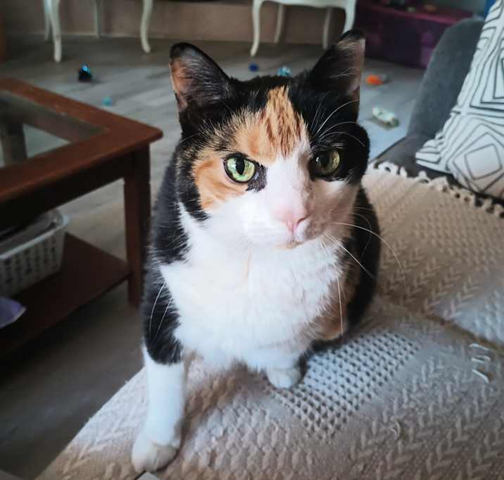 Photo of Lexi