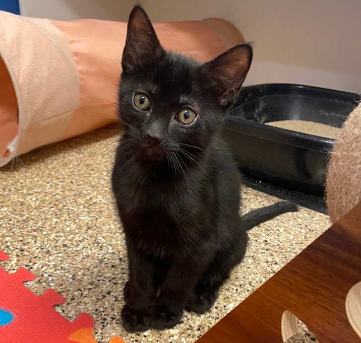 Photo of Kylo