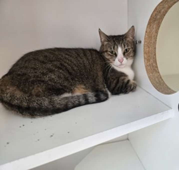 Photo of Shirley