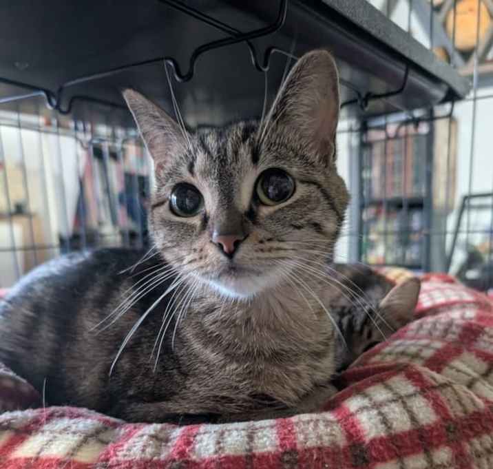 Photo of Aloha