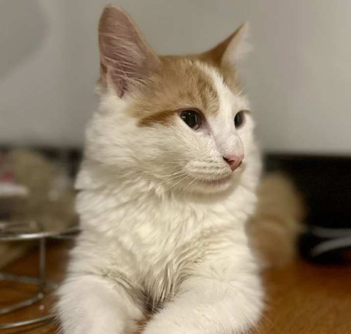 Photo of Sol