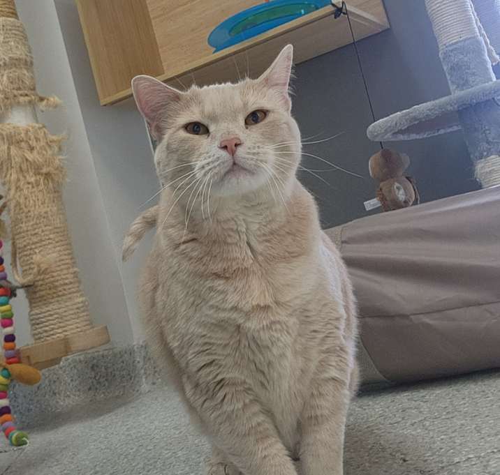 Photo of Milo