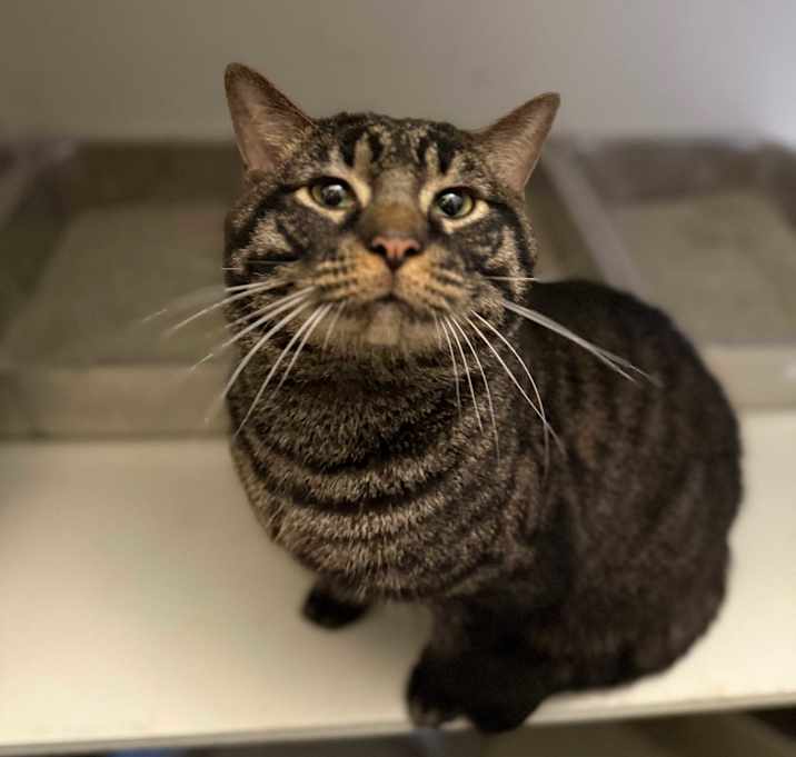 Photo of Oliver