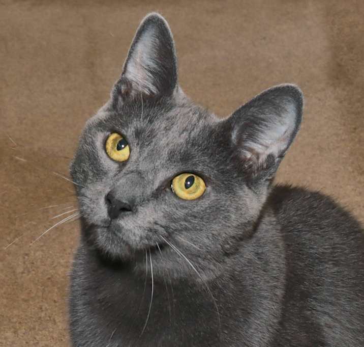 Photo of Rudy