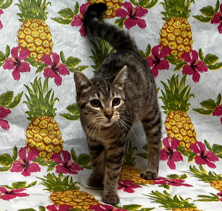Photo of Minnie