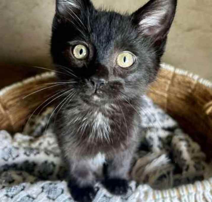 Photo of Harley