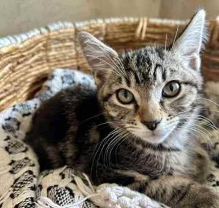 Photo of Charlie
